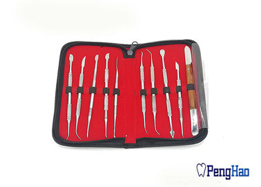 cera dental del laboratorio del acero inoxidable 10pcs/Set que talla equipos del instrumento de las herramientas