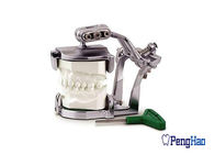 Órgano articulador magnético dental flexible y versátil sin el yeso de la necesidad