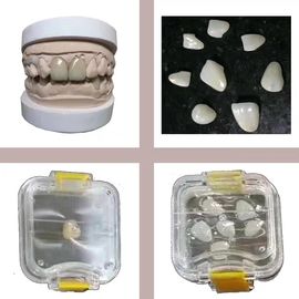El laboratorio dental transparente equipa la caja plástica elástico del diente de Membrance para la dentadura