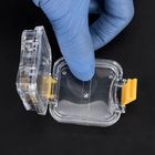 El laboratorio dental del material plástico equipa la caja de almacenamiento de la dentadura de la caja del criado del diente de la membrana